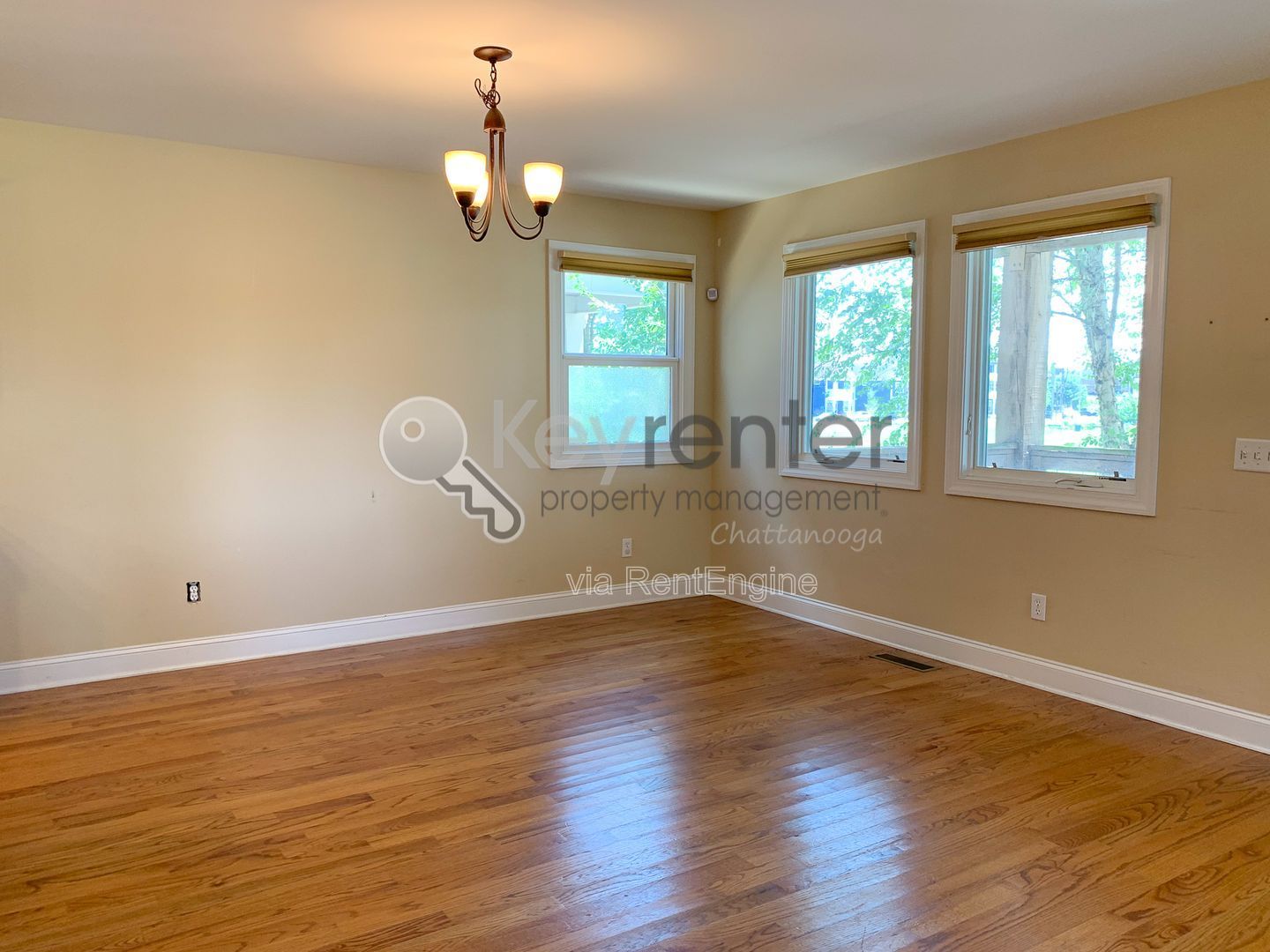 Gallery Image 7