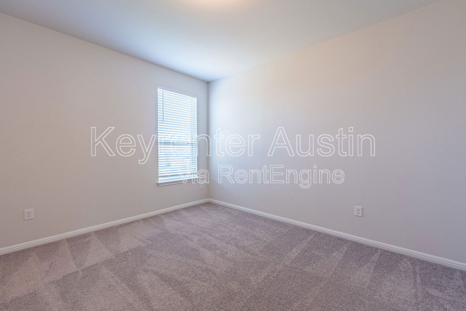 Gallery Image 19