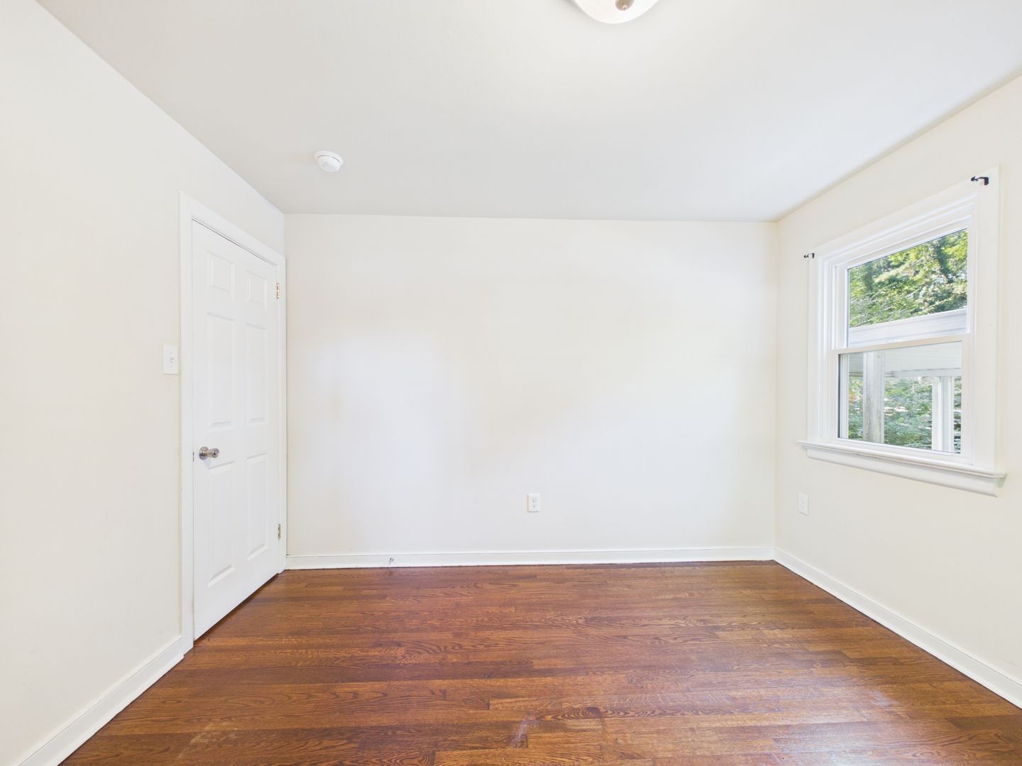 Gallery Image 11
