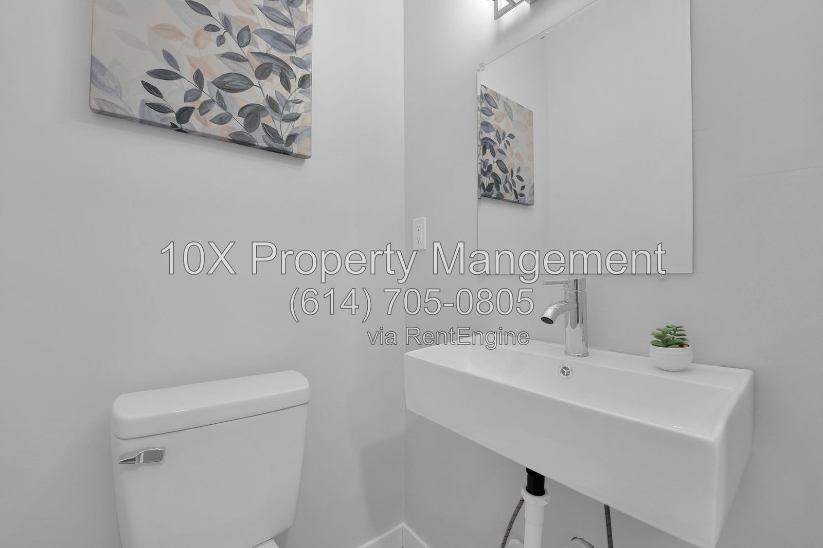 Gallery Image 8
