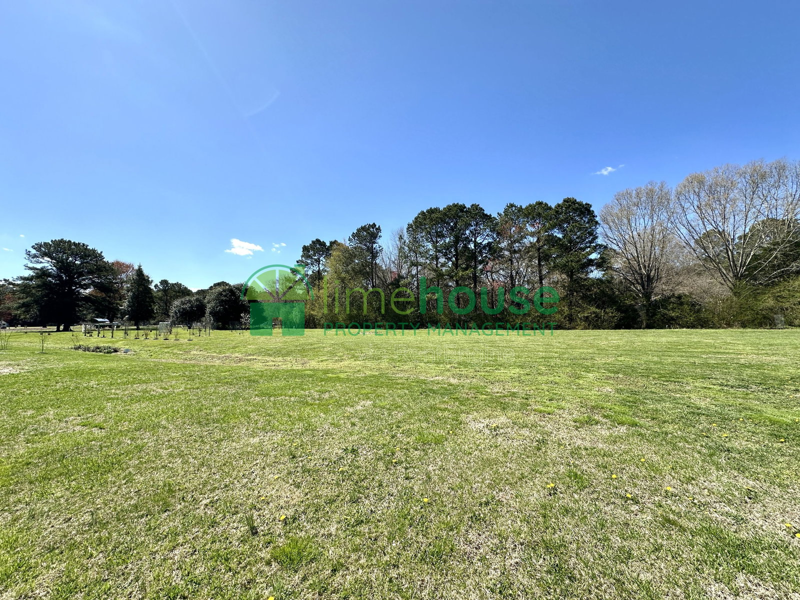 Gallery Image 26