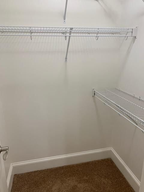 Gallery Image 23