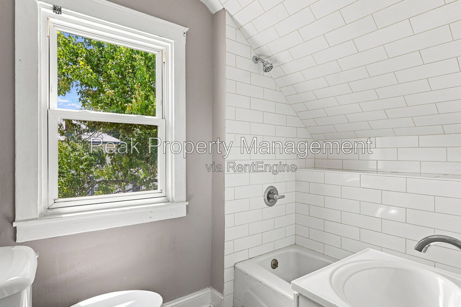 Gallery Image 17