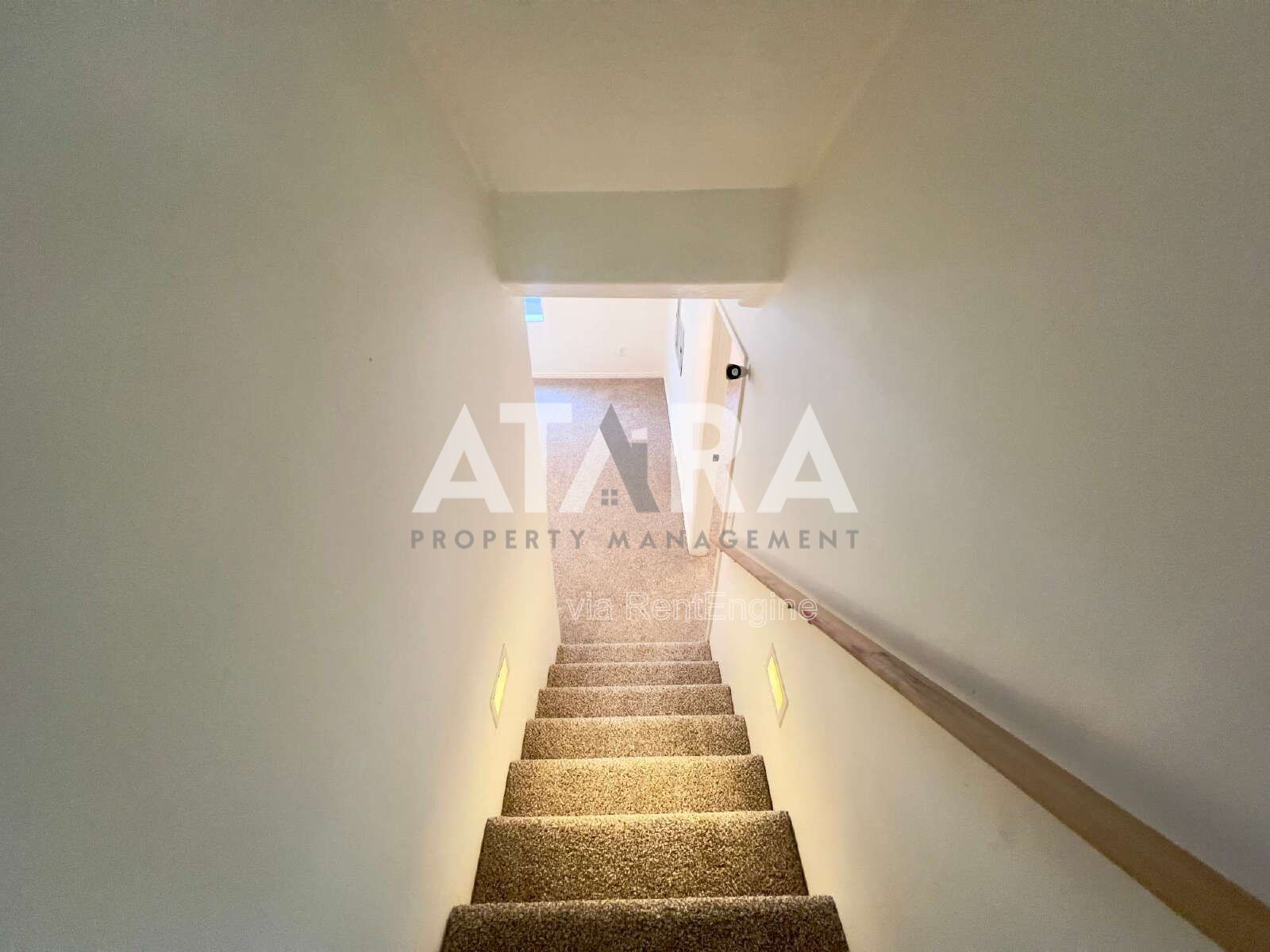 Gallery Image 39