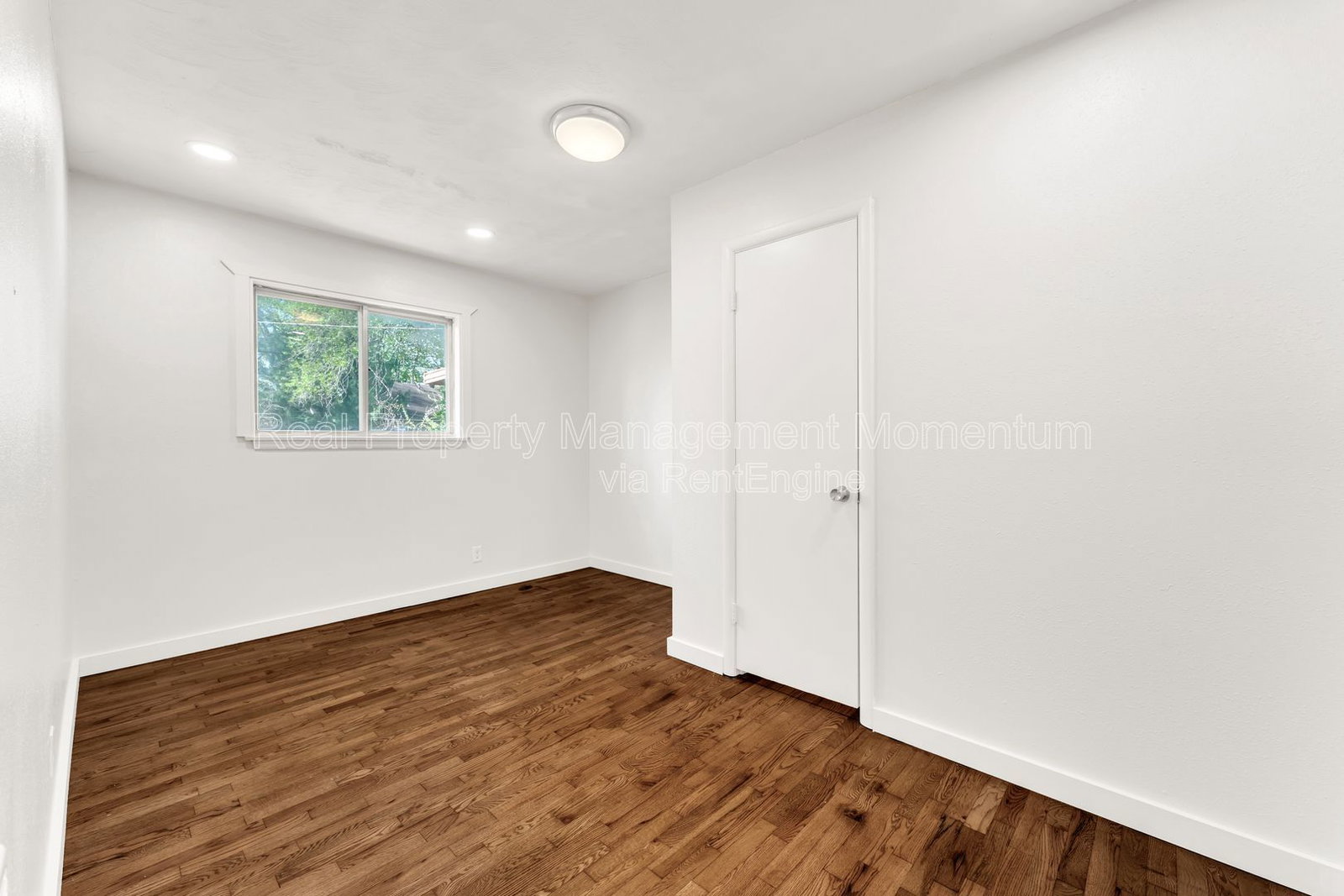 Gallery Image 19