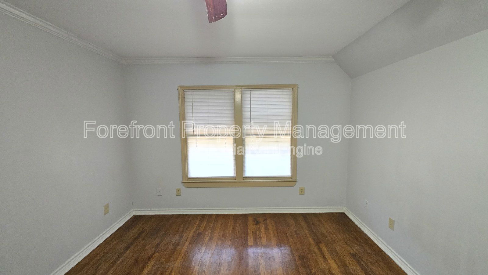 Gallery Image 19