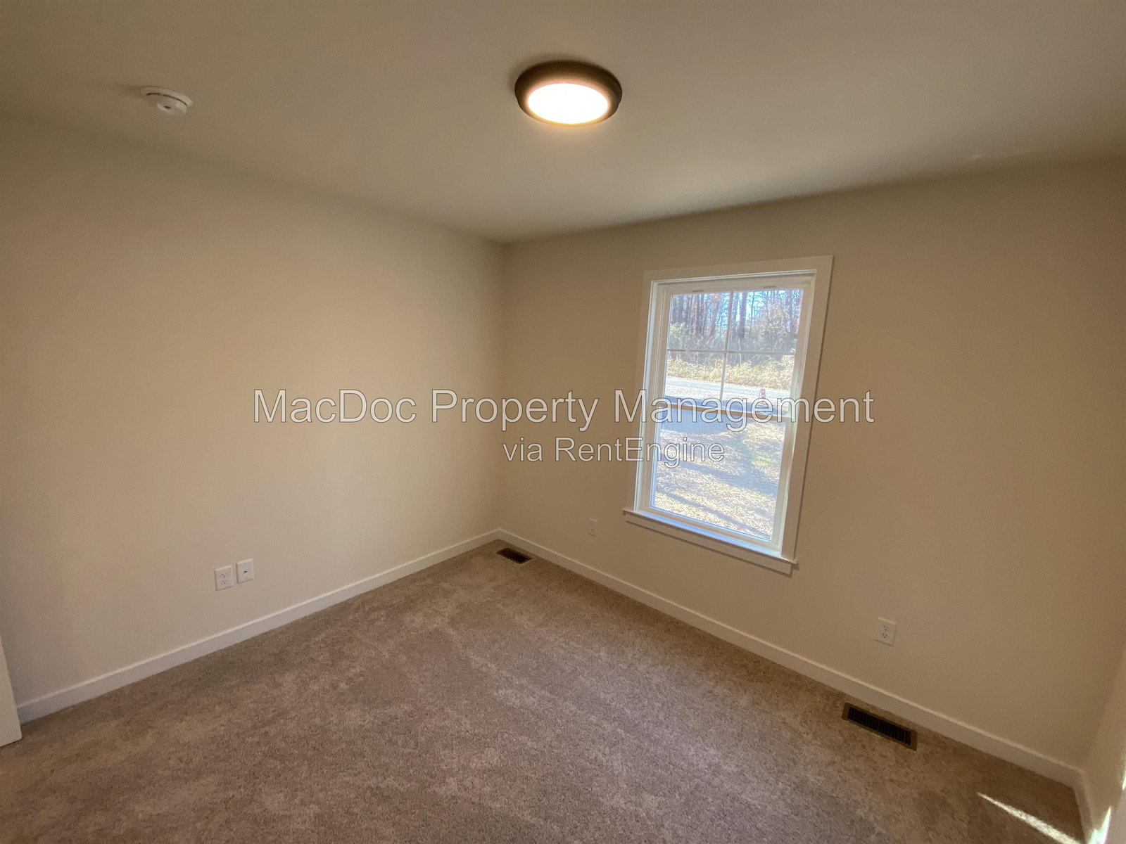 Gallery Image 19