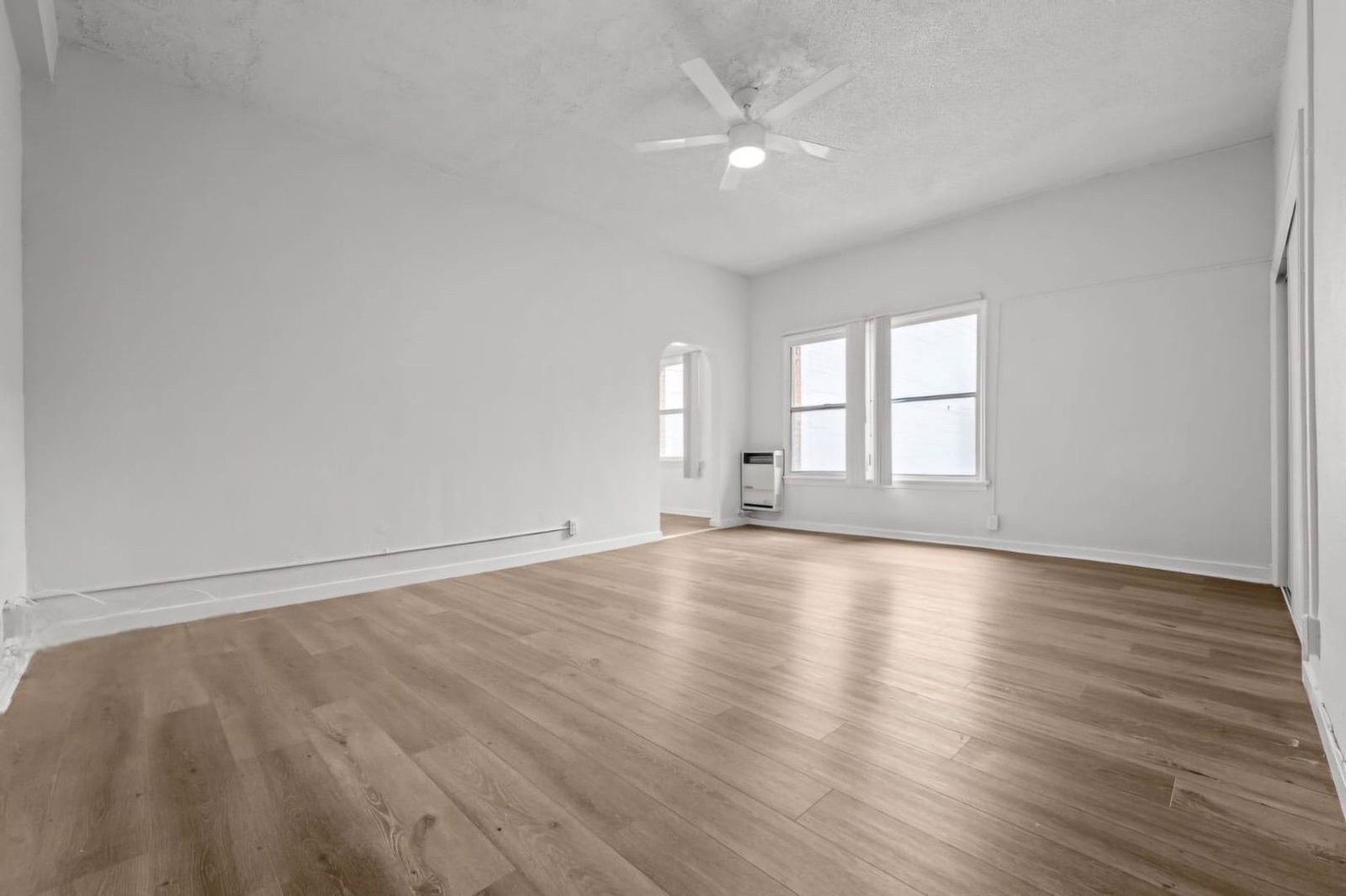 Gallery Image 7