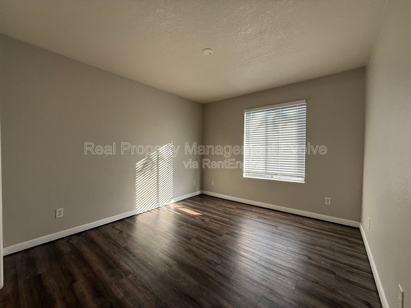 Gallery Image 19