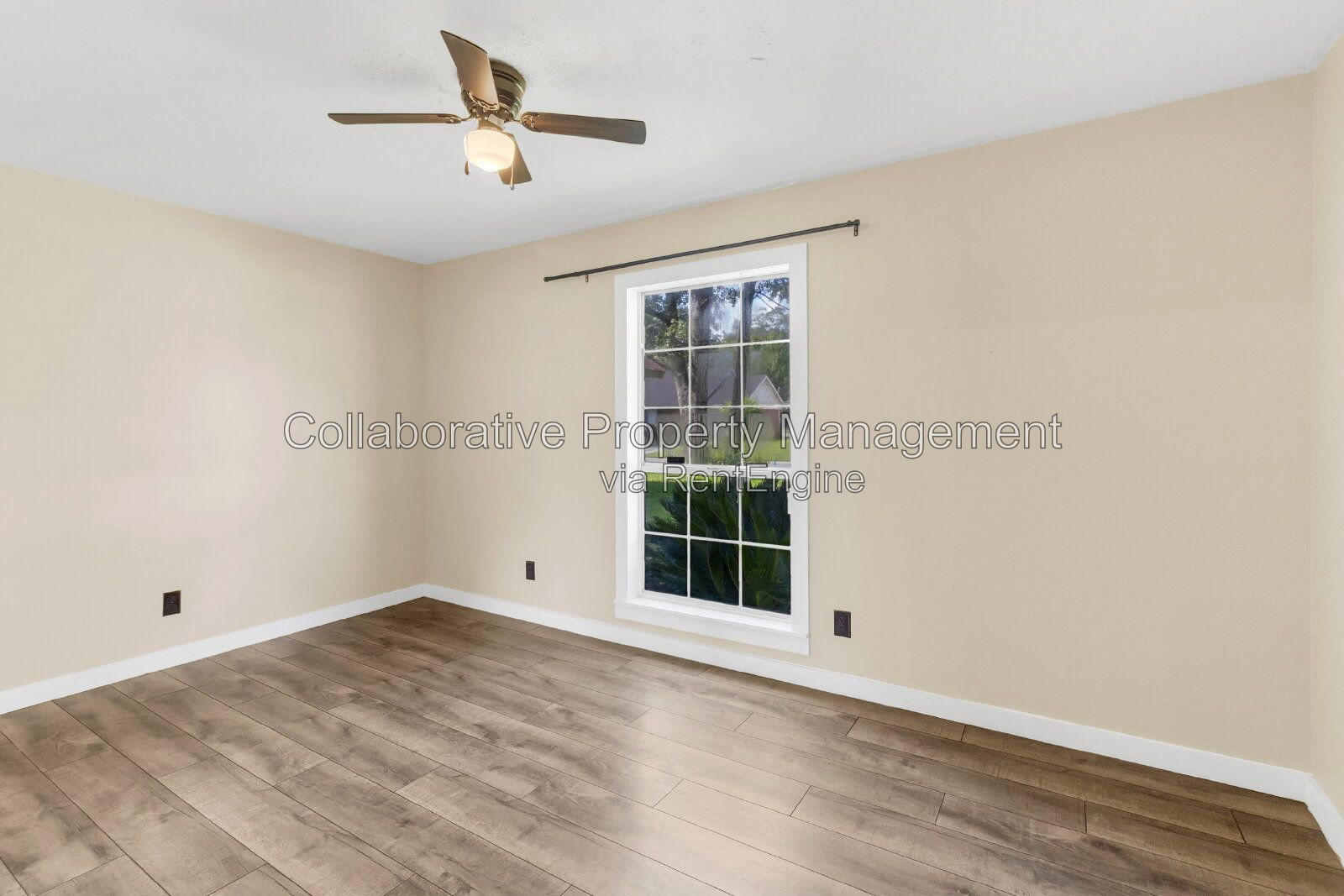 Gallery Image 14