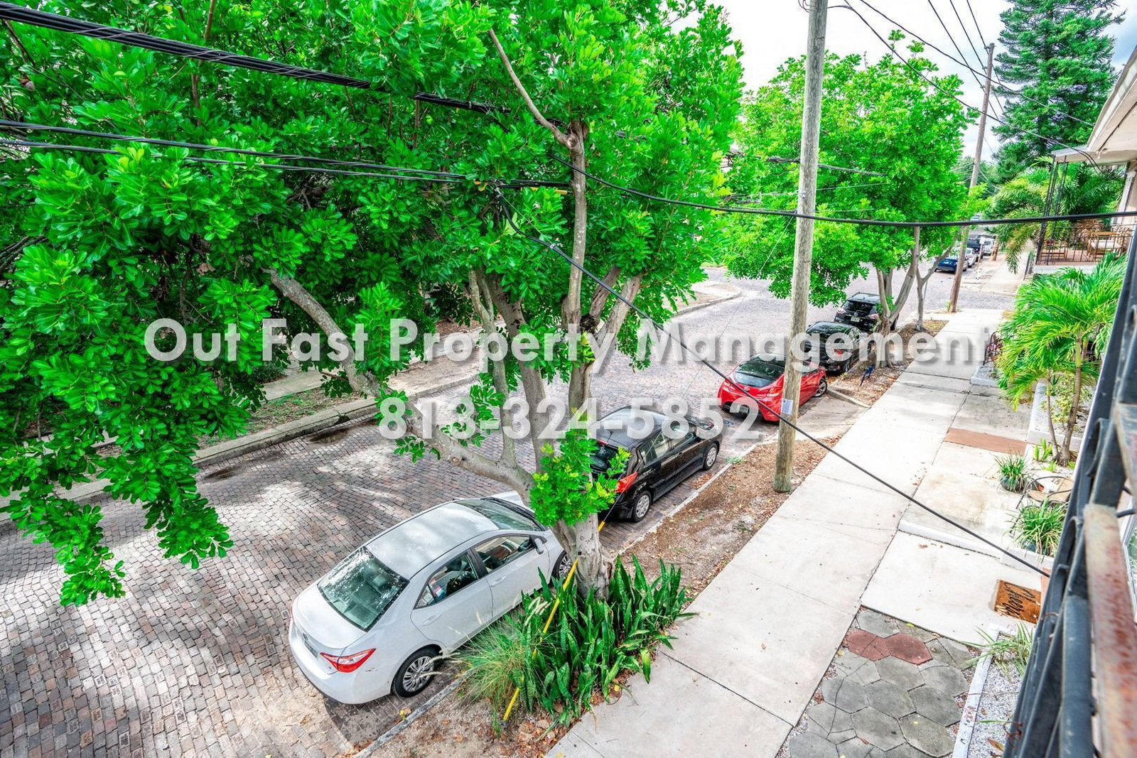 Gallery Image 15
