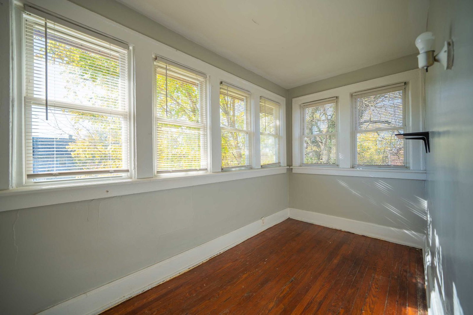 Gallery Image 9