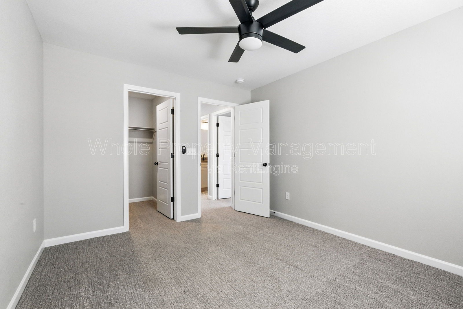 Gallery Image 19