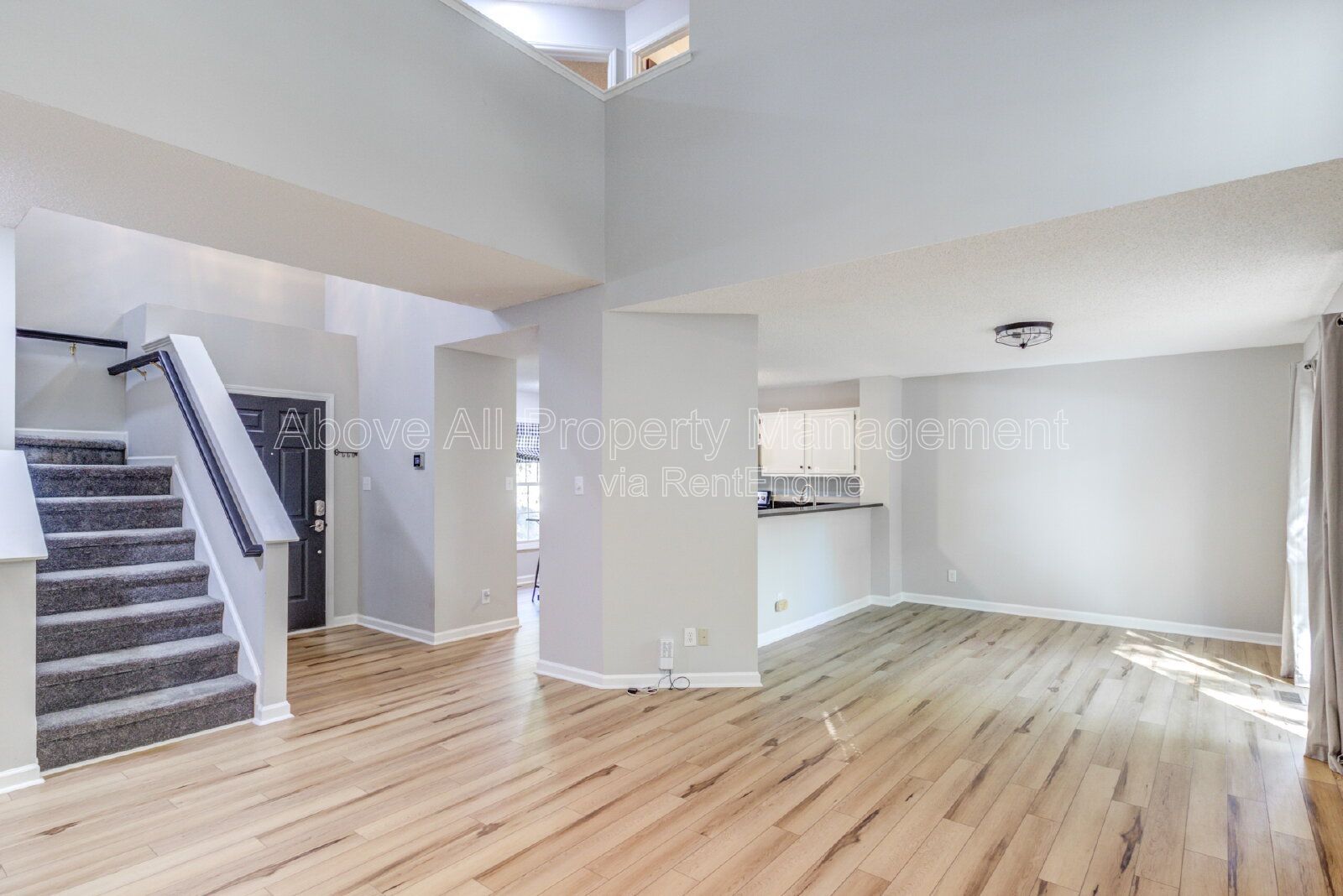 Gallery Image 19