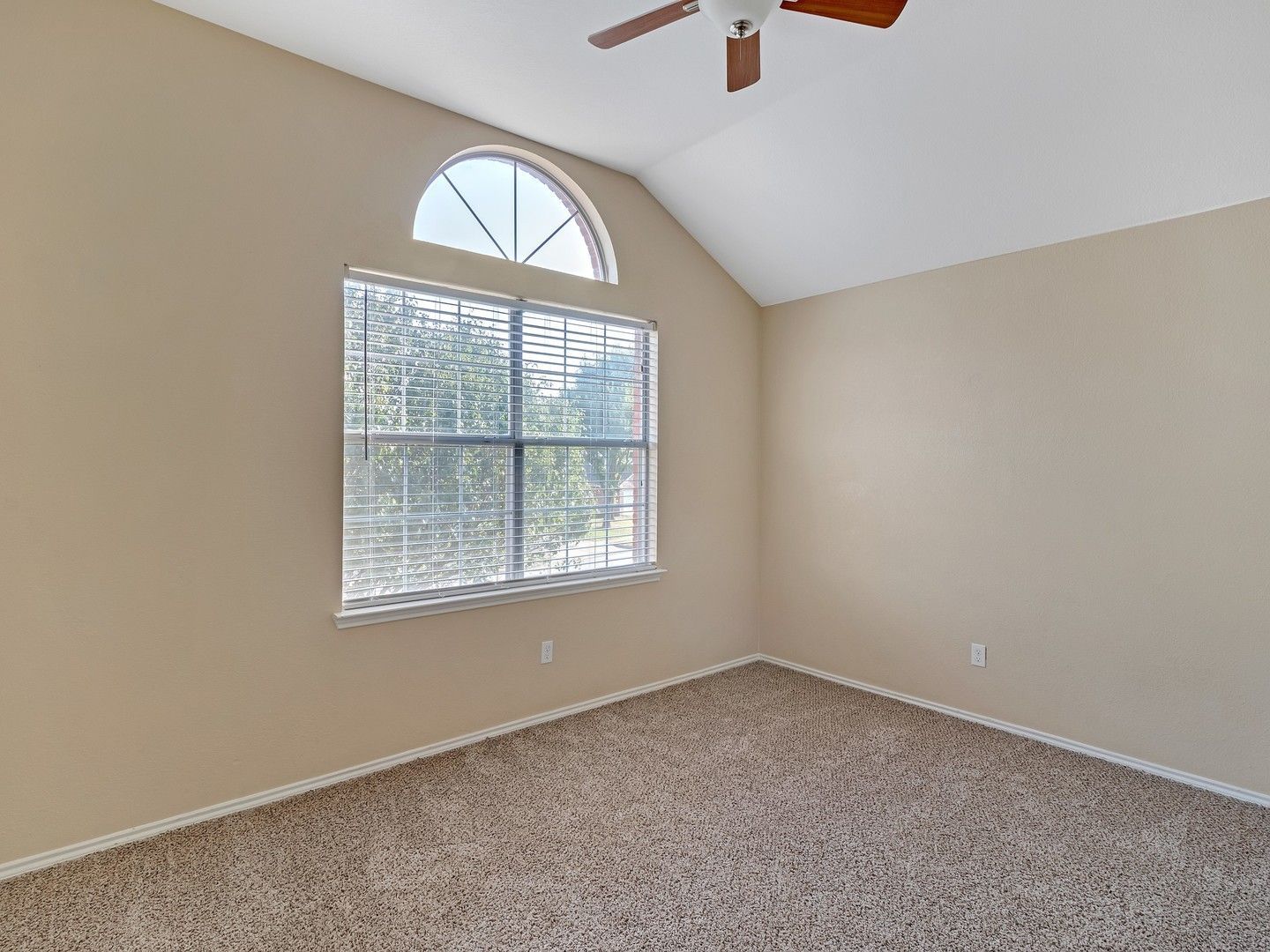 Gallery Image 14