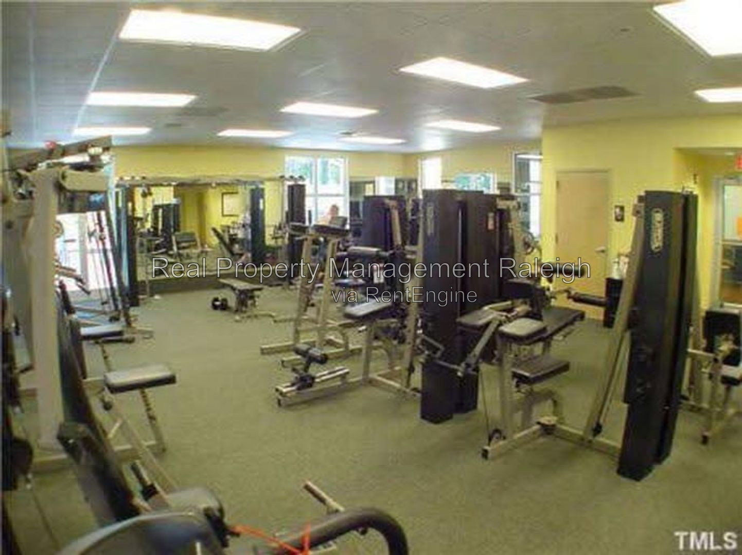 Gallery Image 19