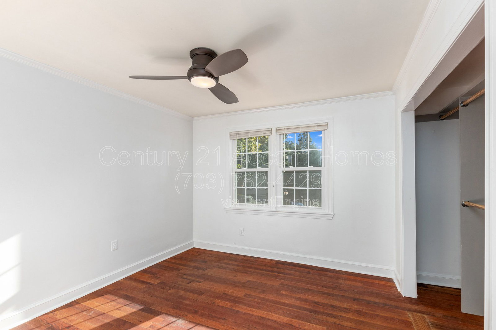 Gallery Image 16