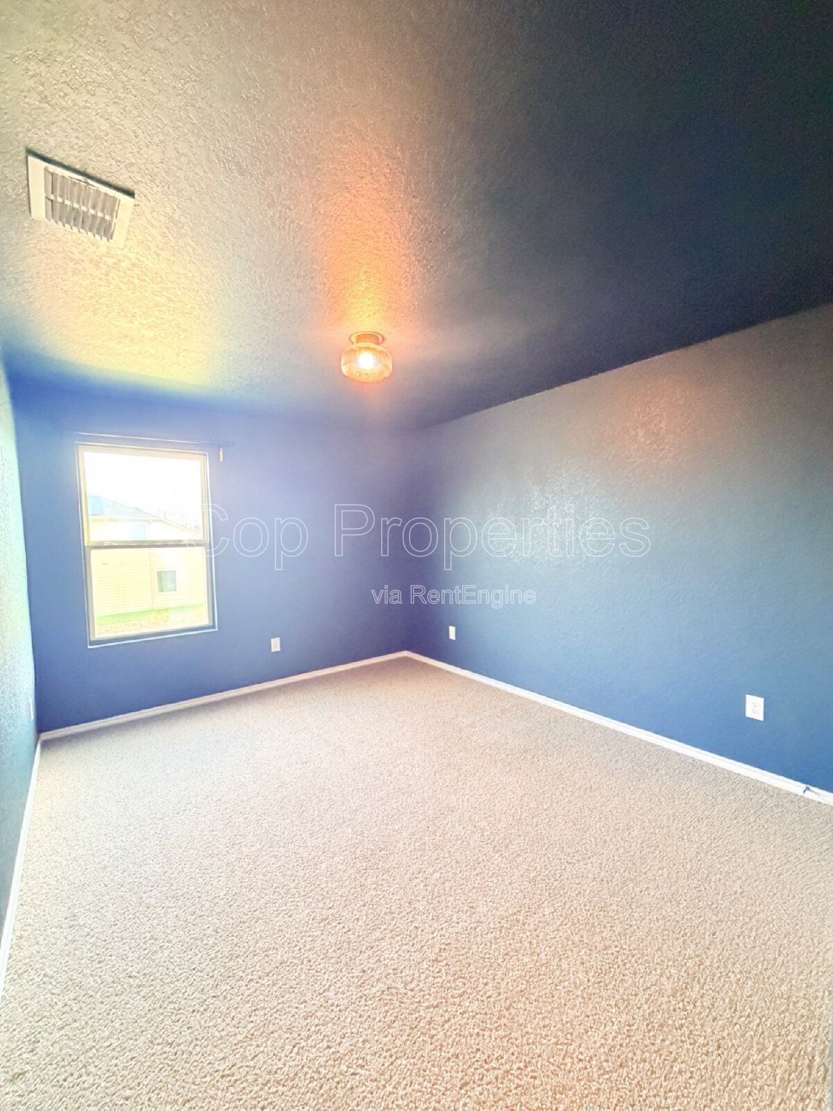 Gallery Image 22