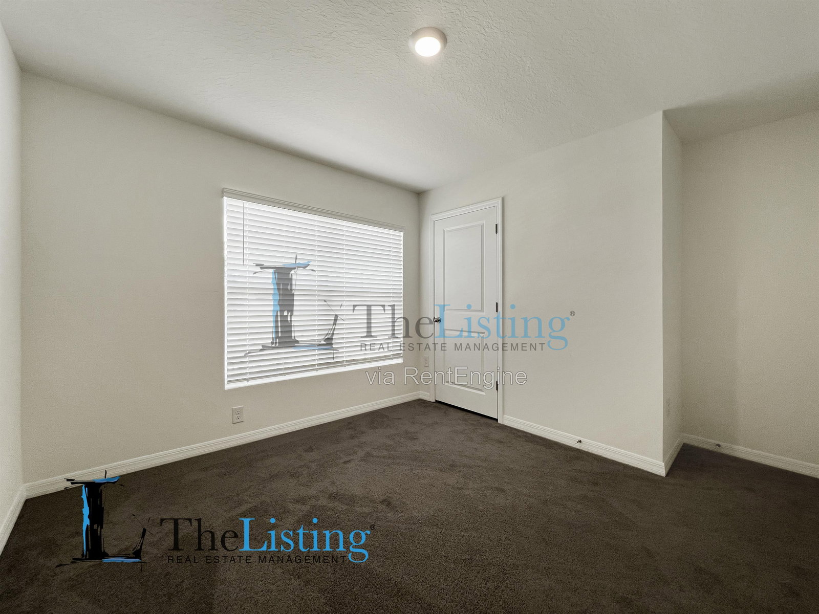 Gallery Image 19