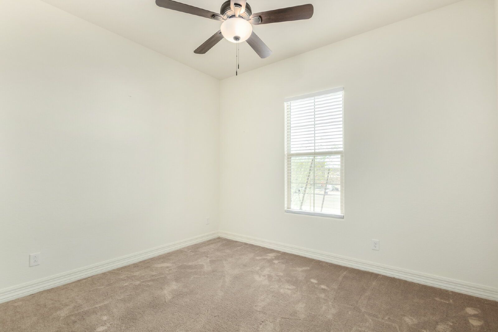 Gallery Image 20