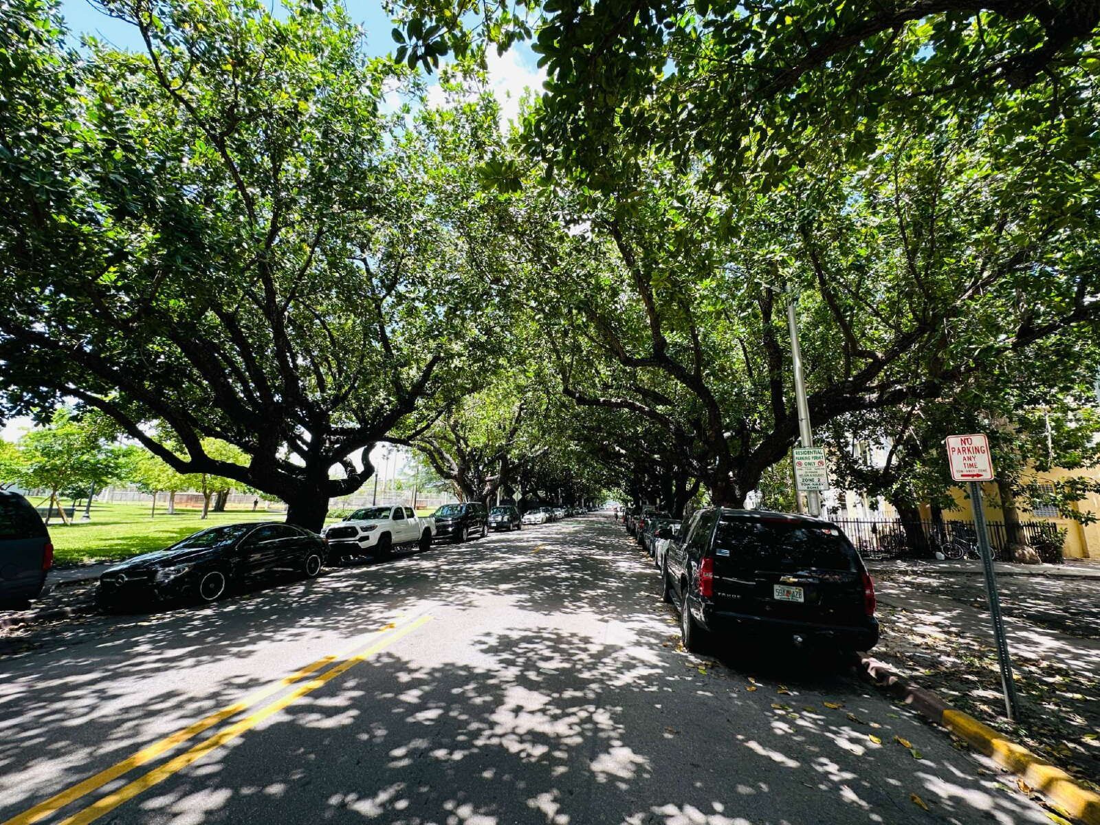 Gallery Image 17