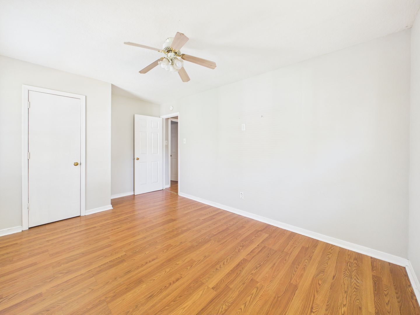 Gallery Image 14