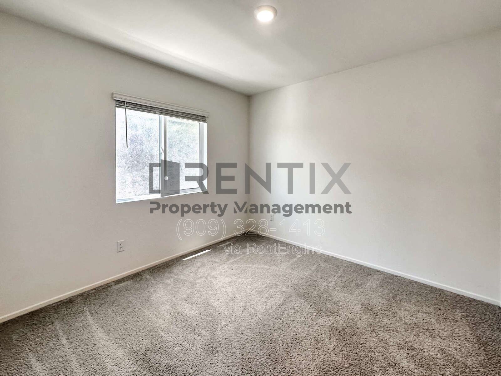 Gallery Image 20