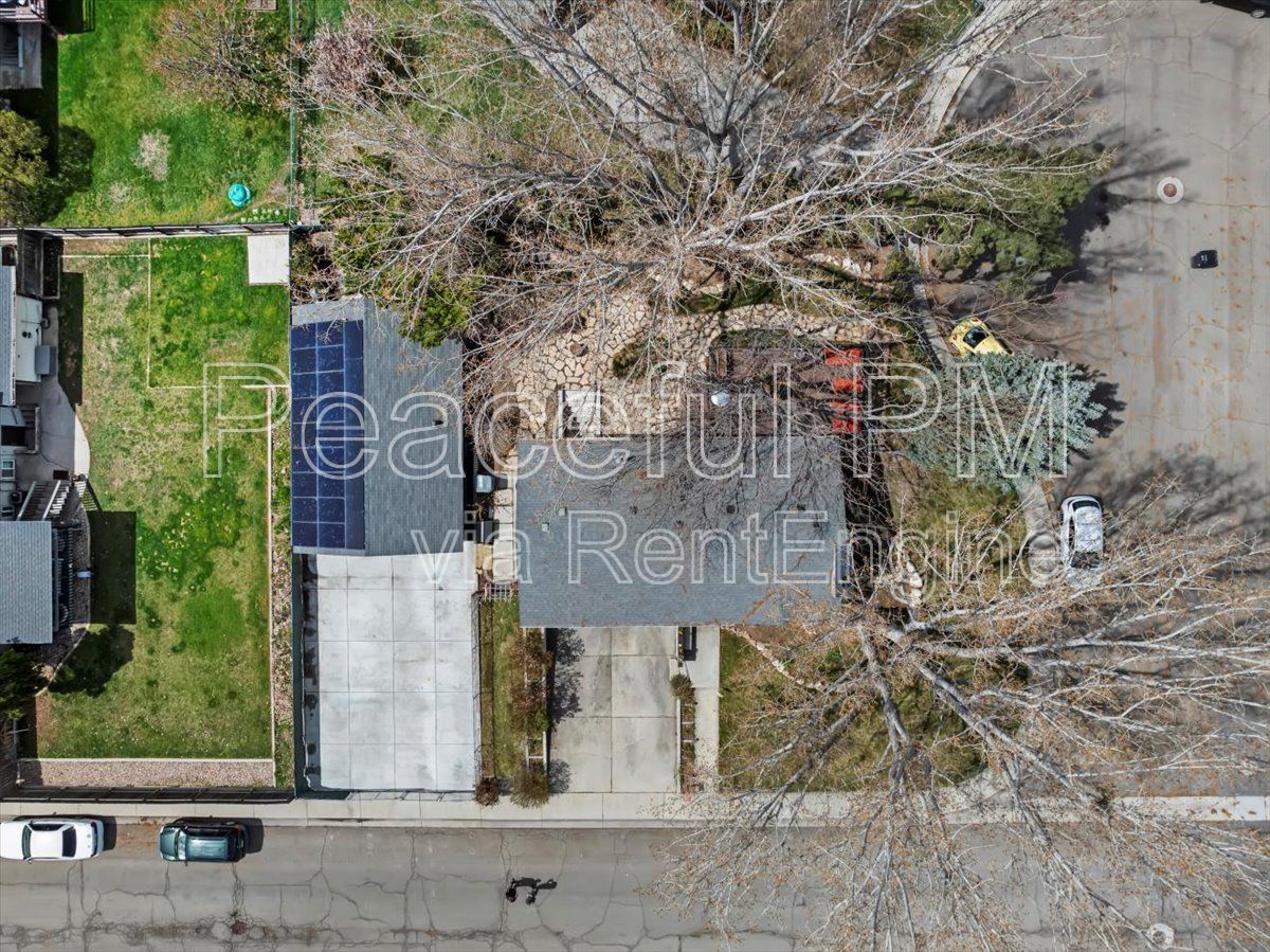 Gallery Image 38