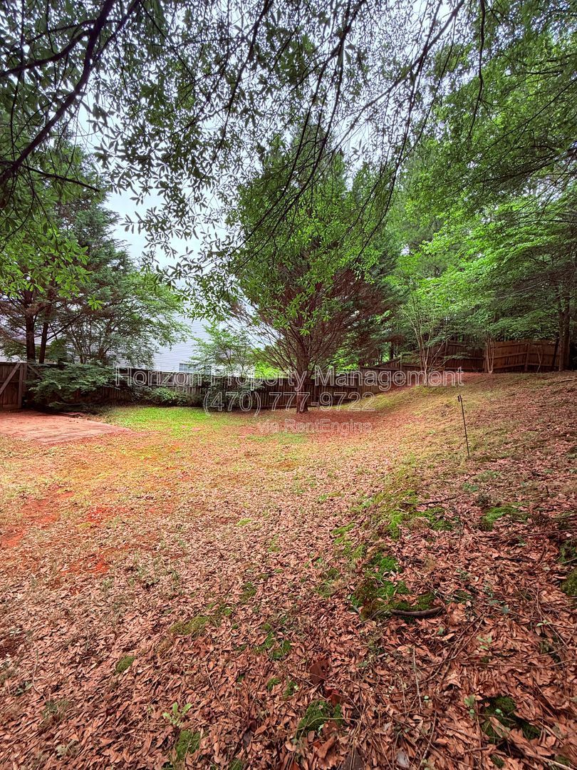 Gallery Image 19