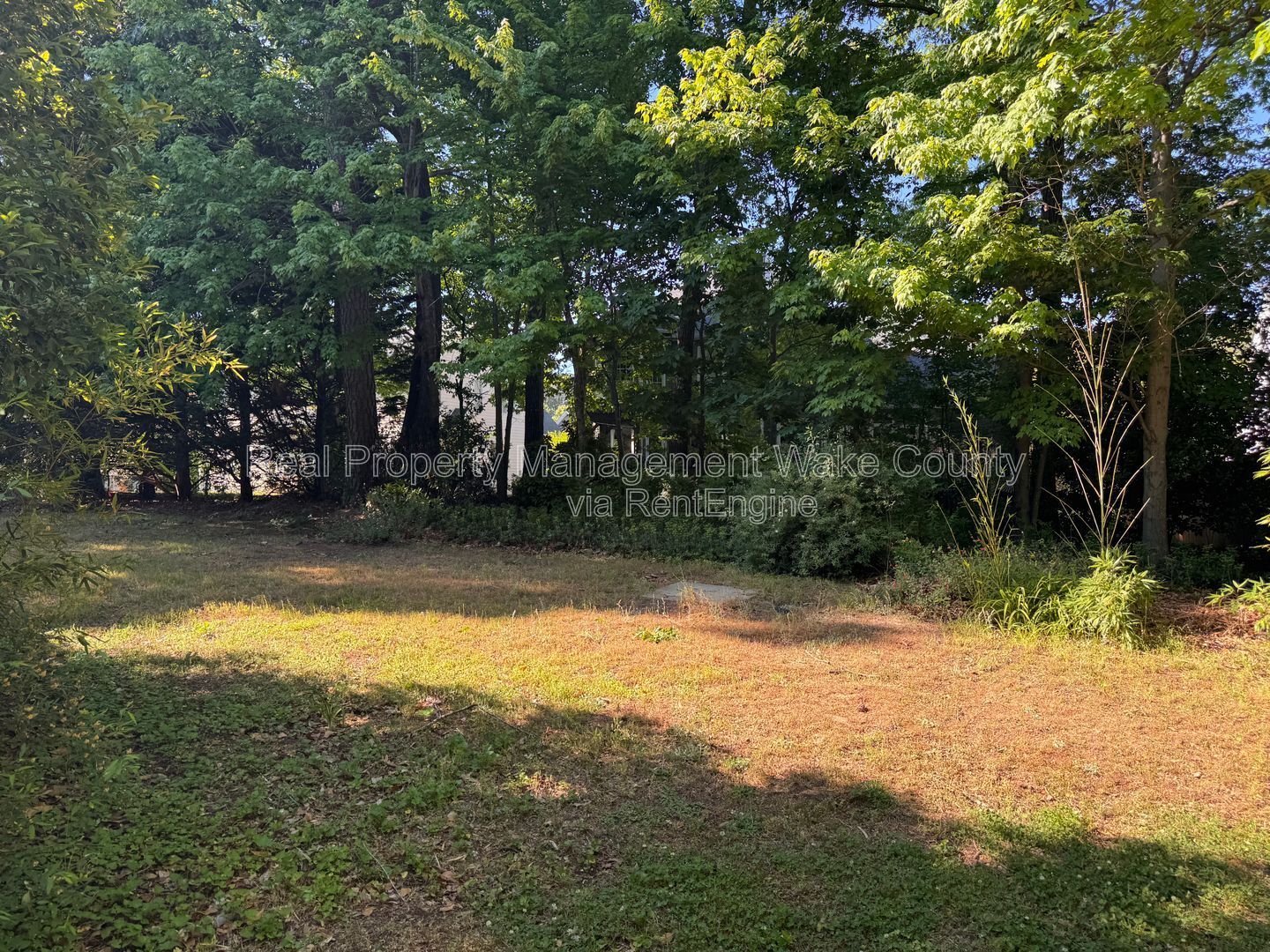 Gallery Image 42