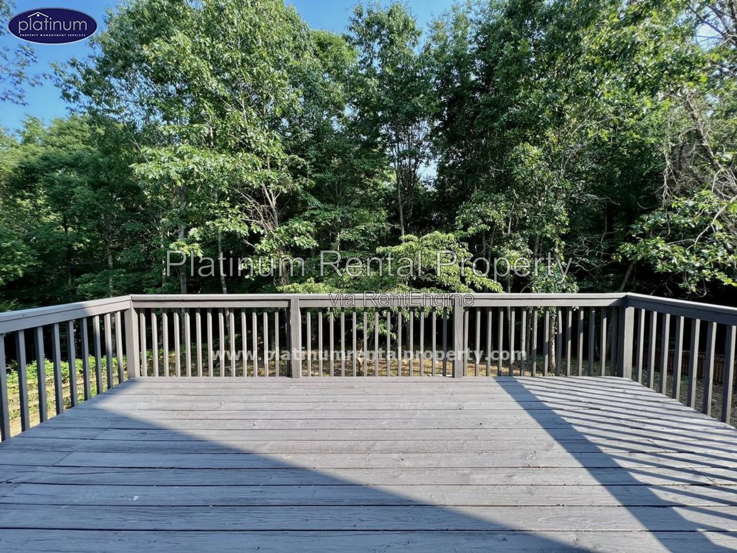 Gallery Image 37