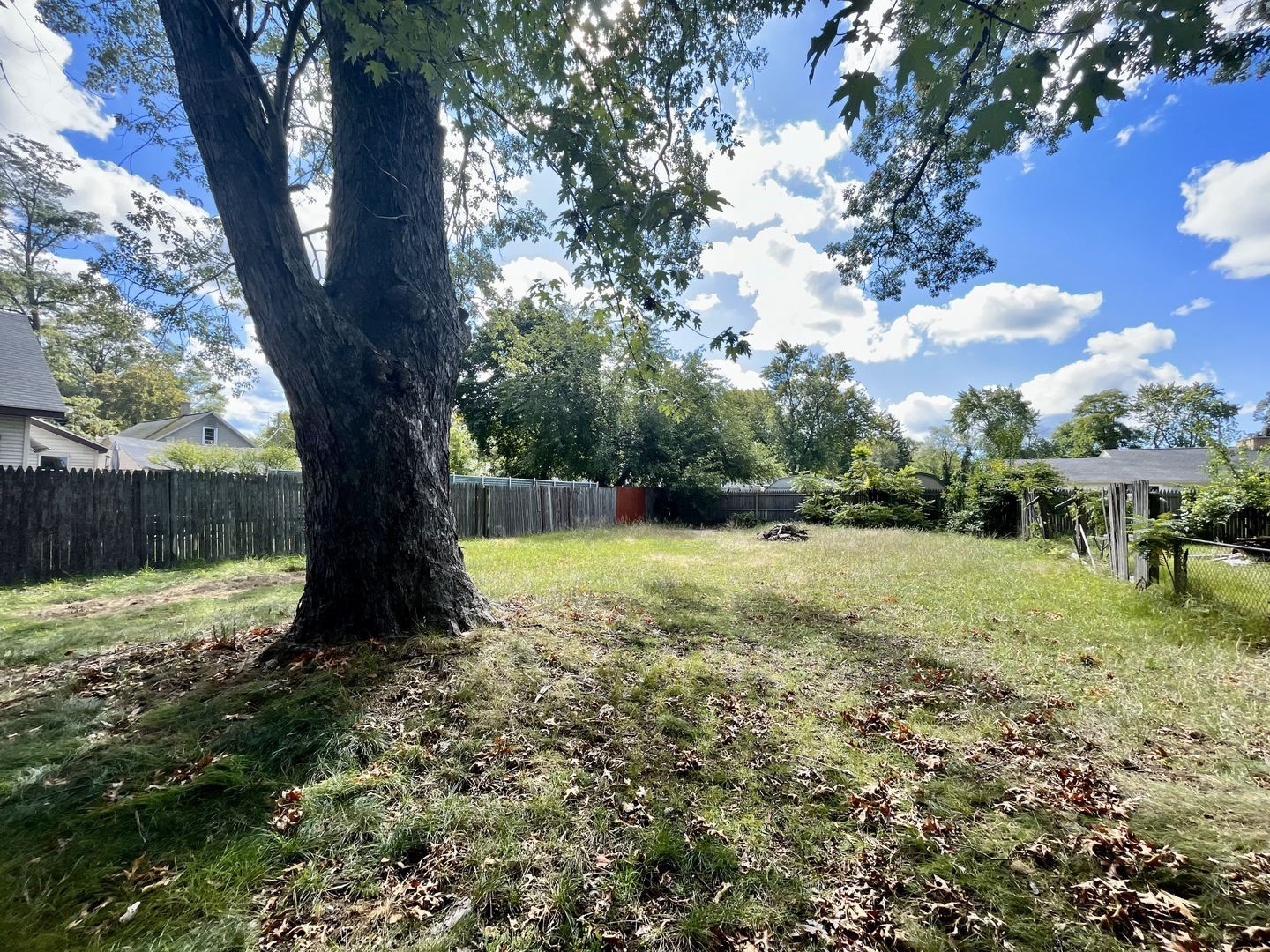 Gallery Image 17