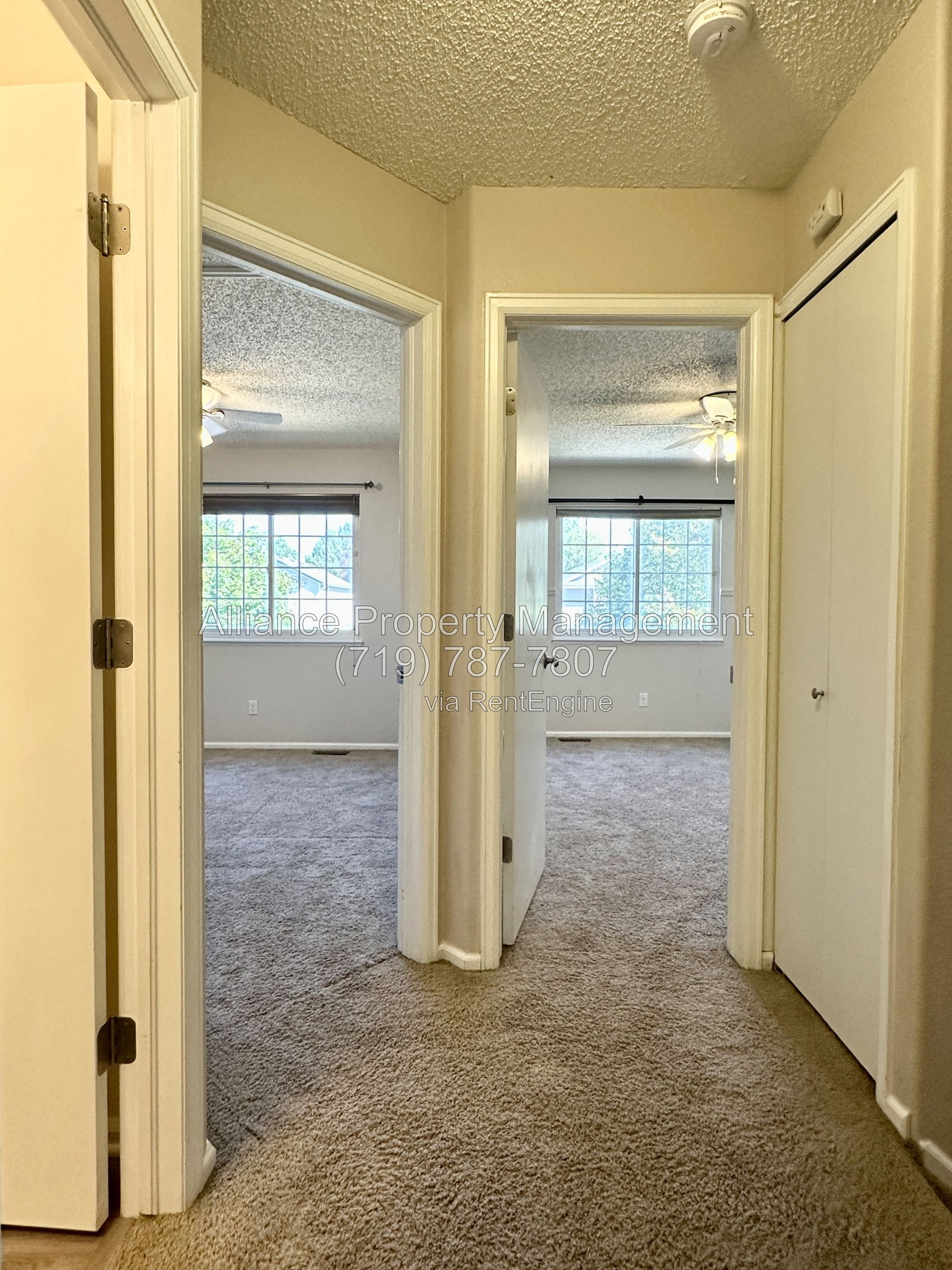 Gallery Image 31