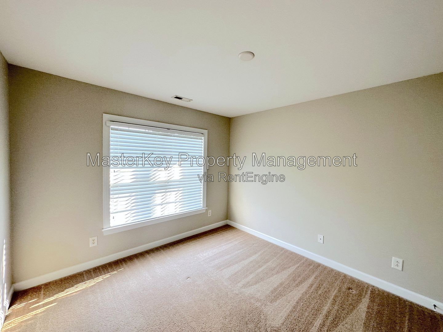 Gallery Image 21