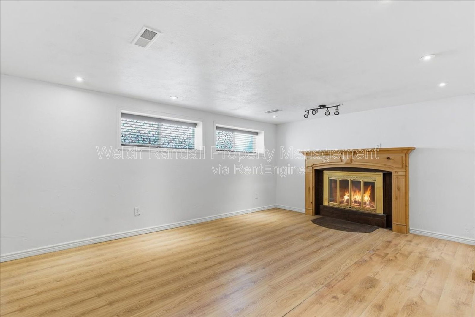 Gallery Image 19