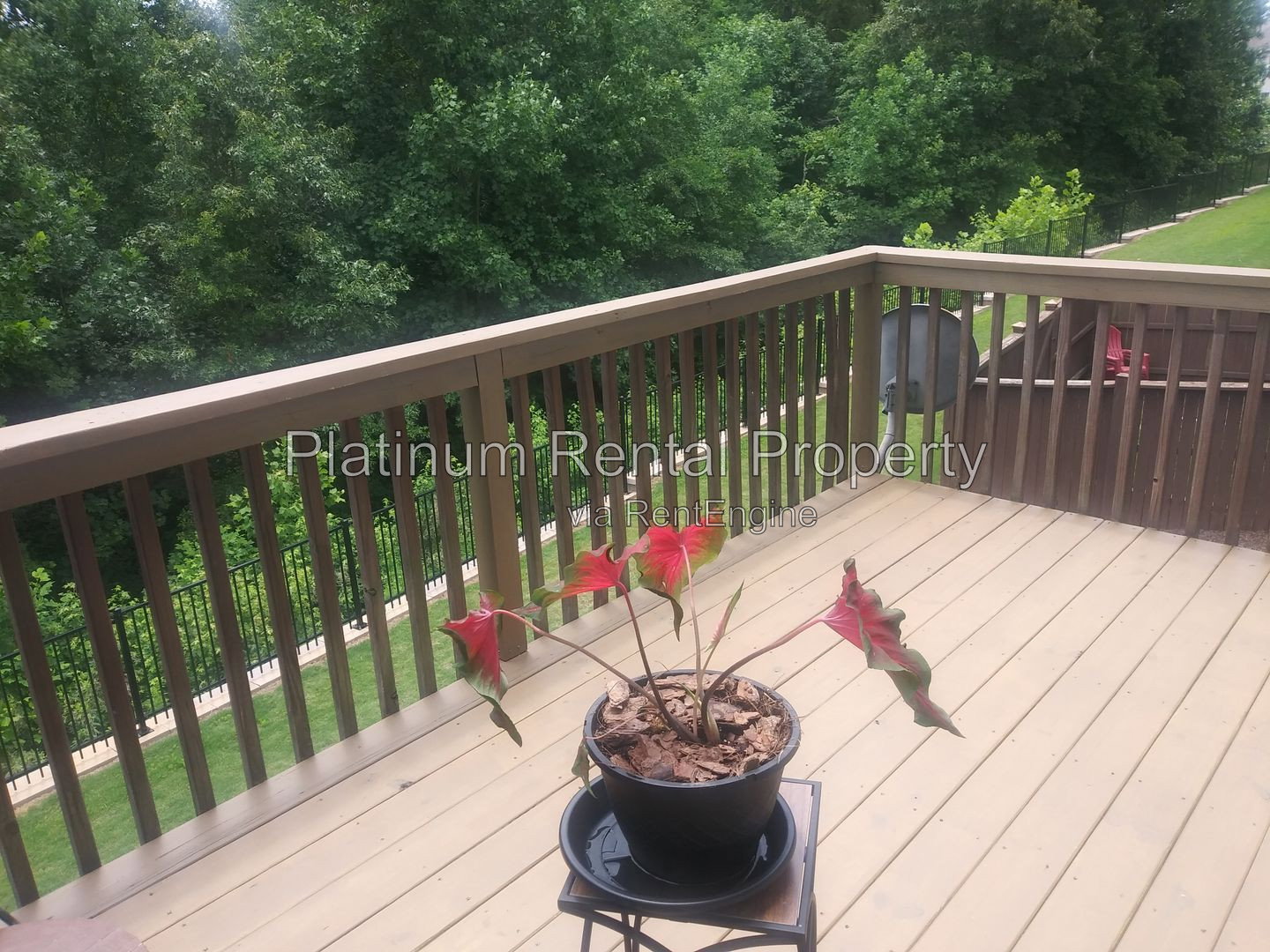 Gallery Image 36