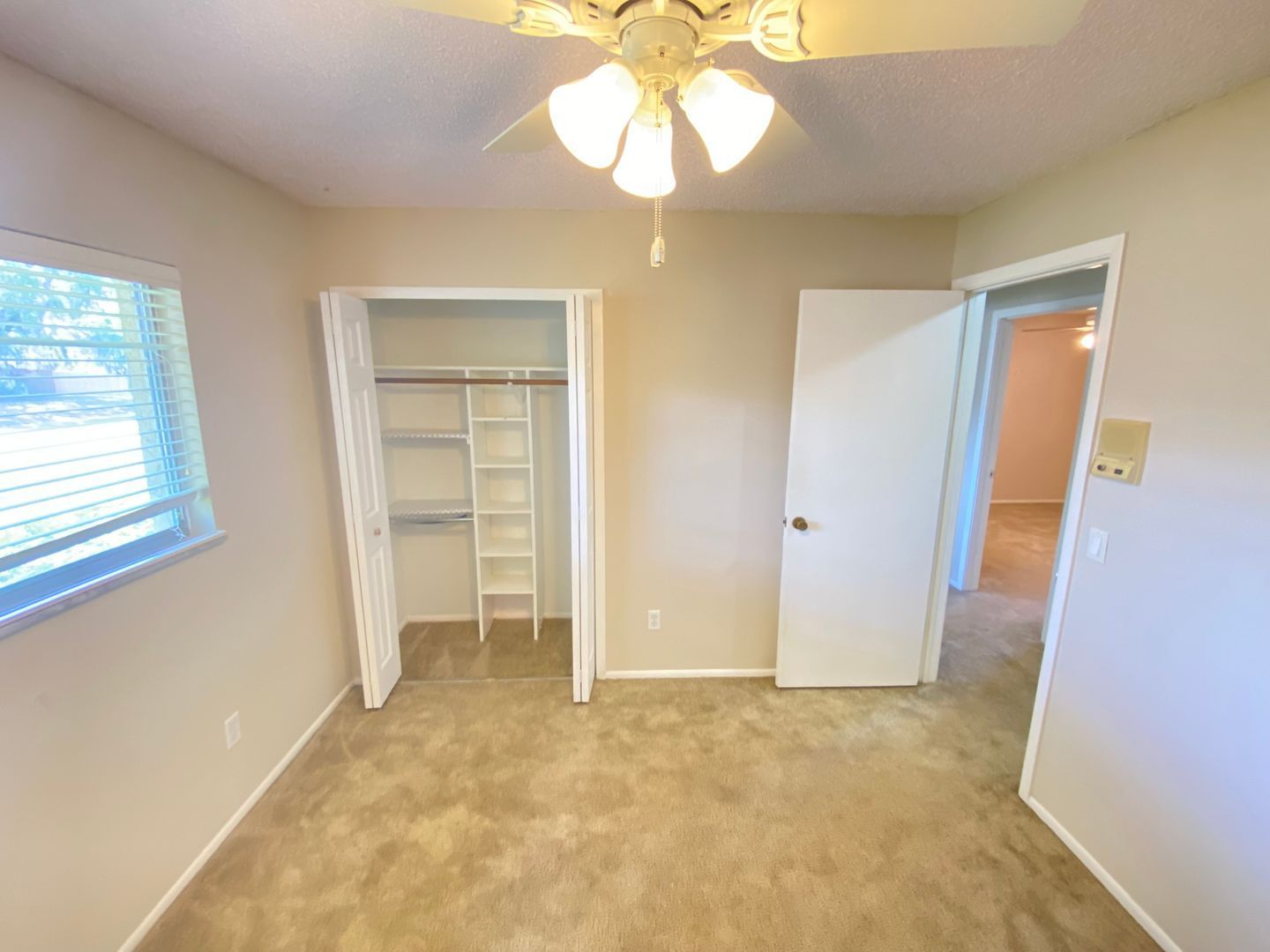 Gallery Image 17