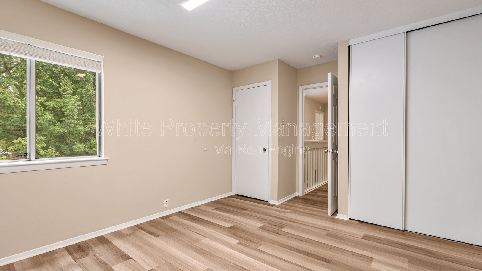 Gallery Image 19