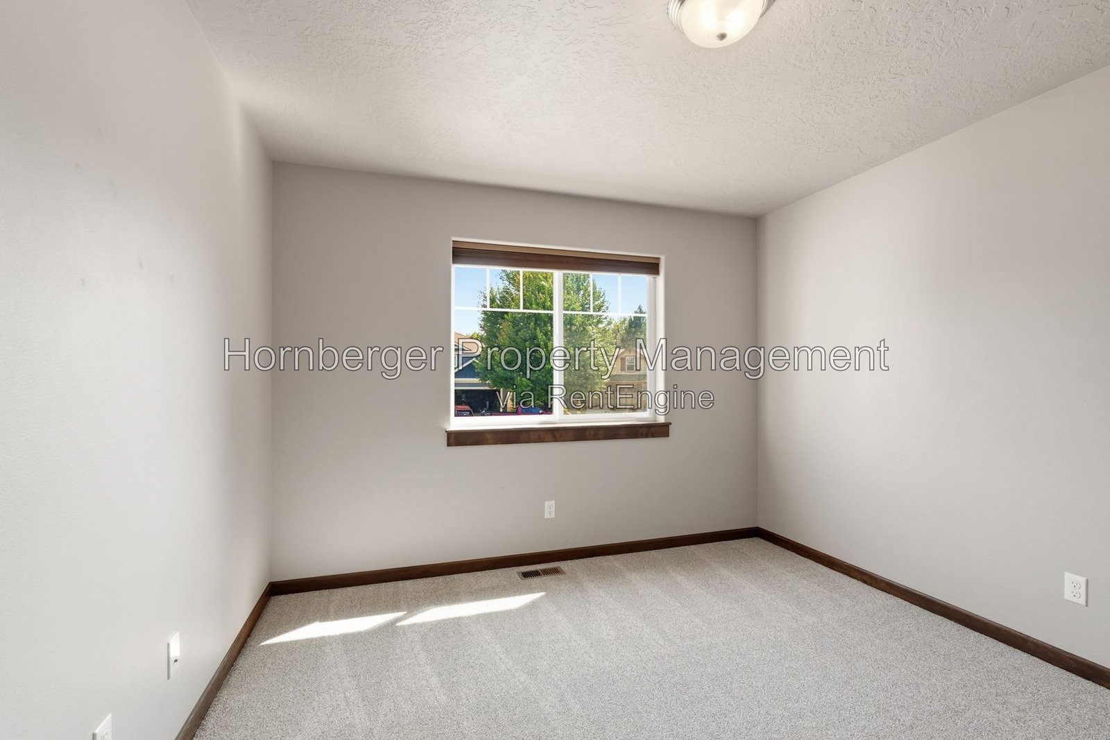 Gallery Image 21
