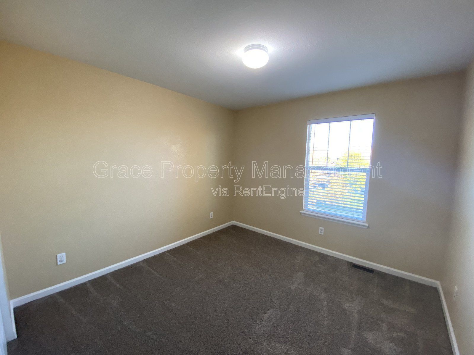 Gallery Image 25