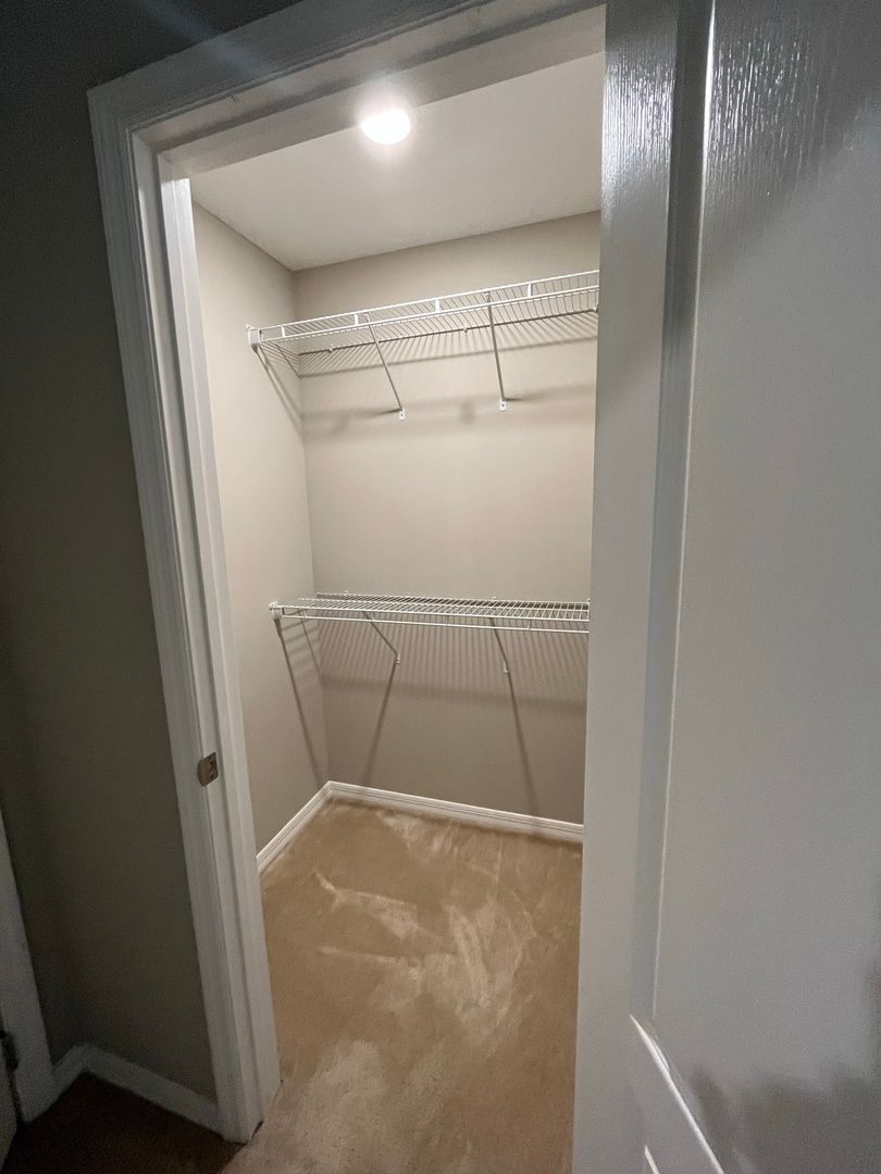 Gallery Image 19