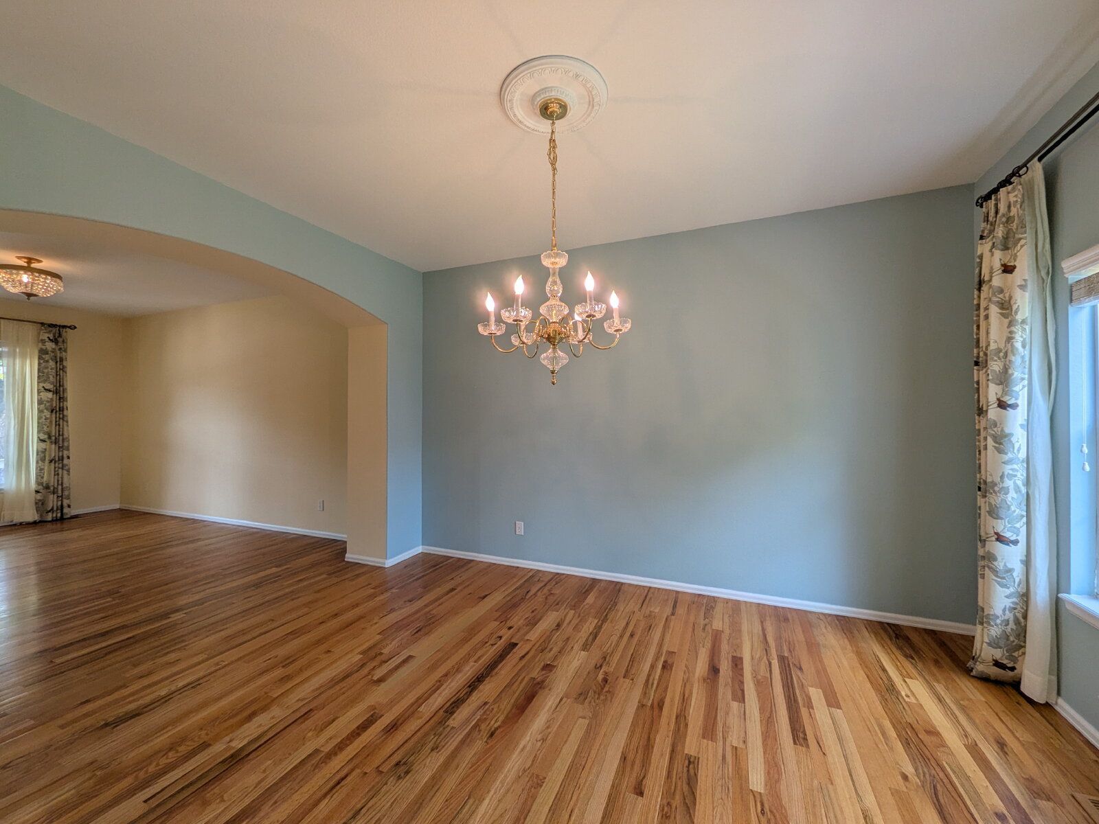 Gallery Image 9