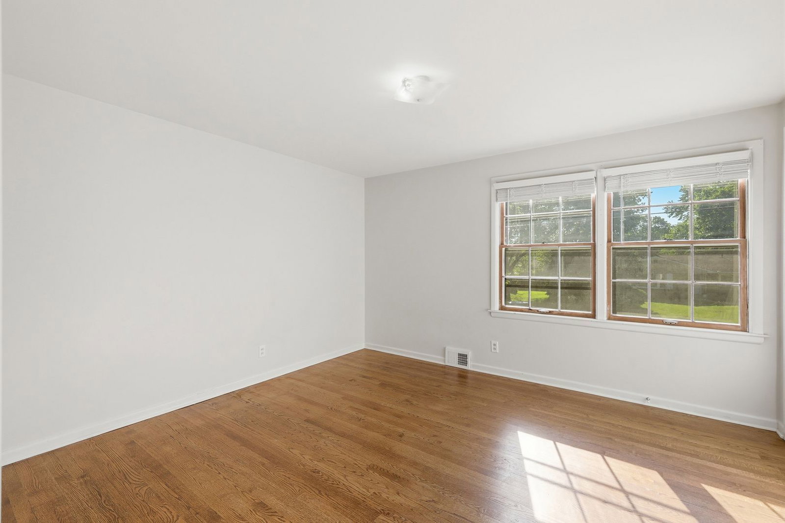 Gallery Image 19