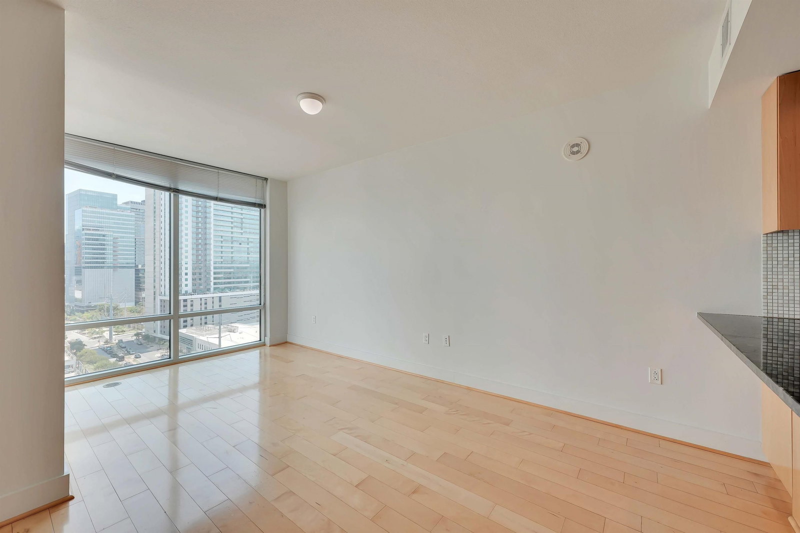 Gallery Image 19