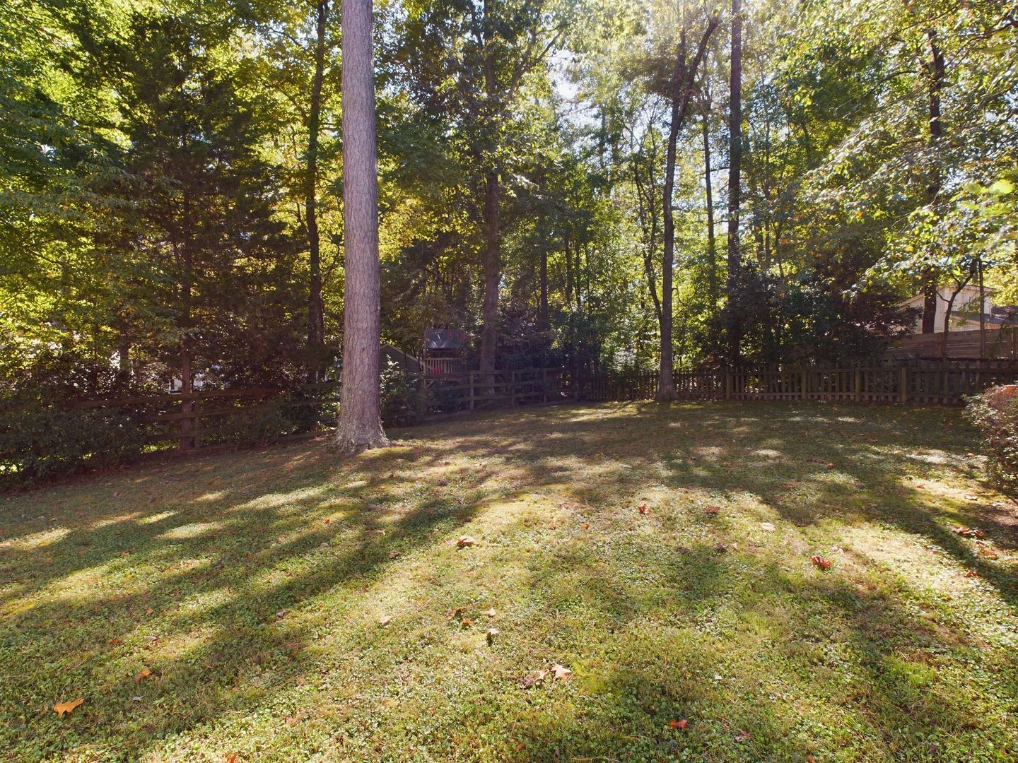 Gallery Image 48