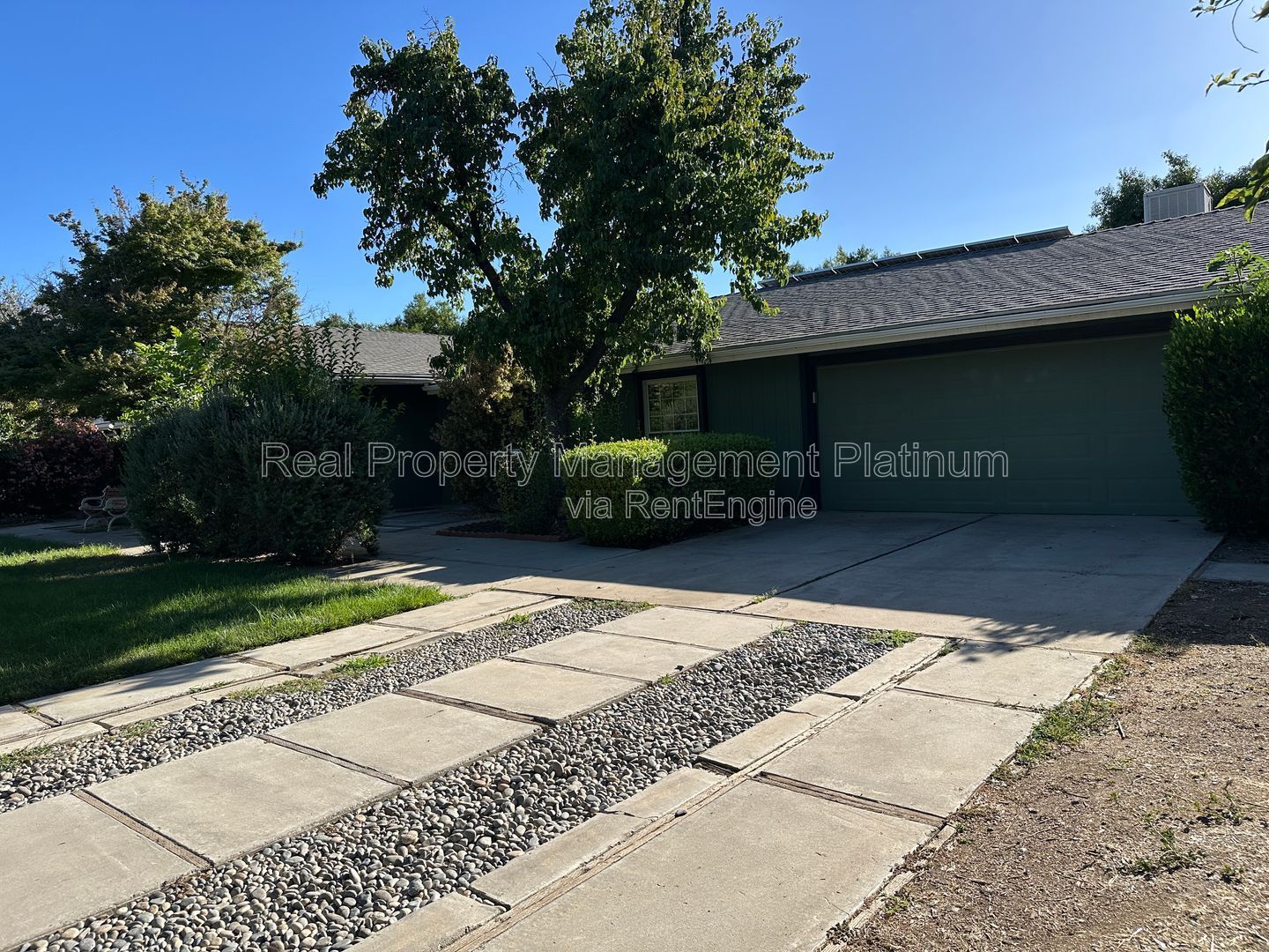 Gallery Image 15