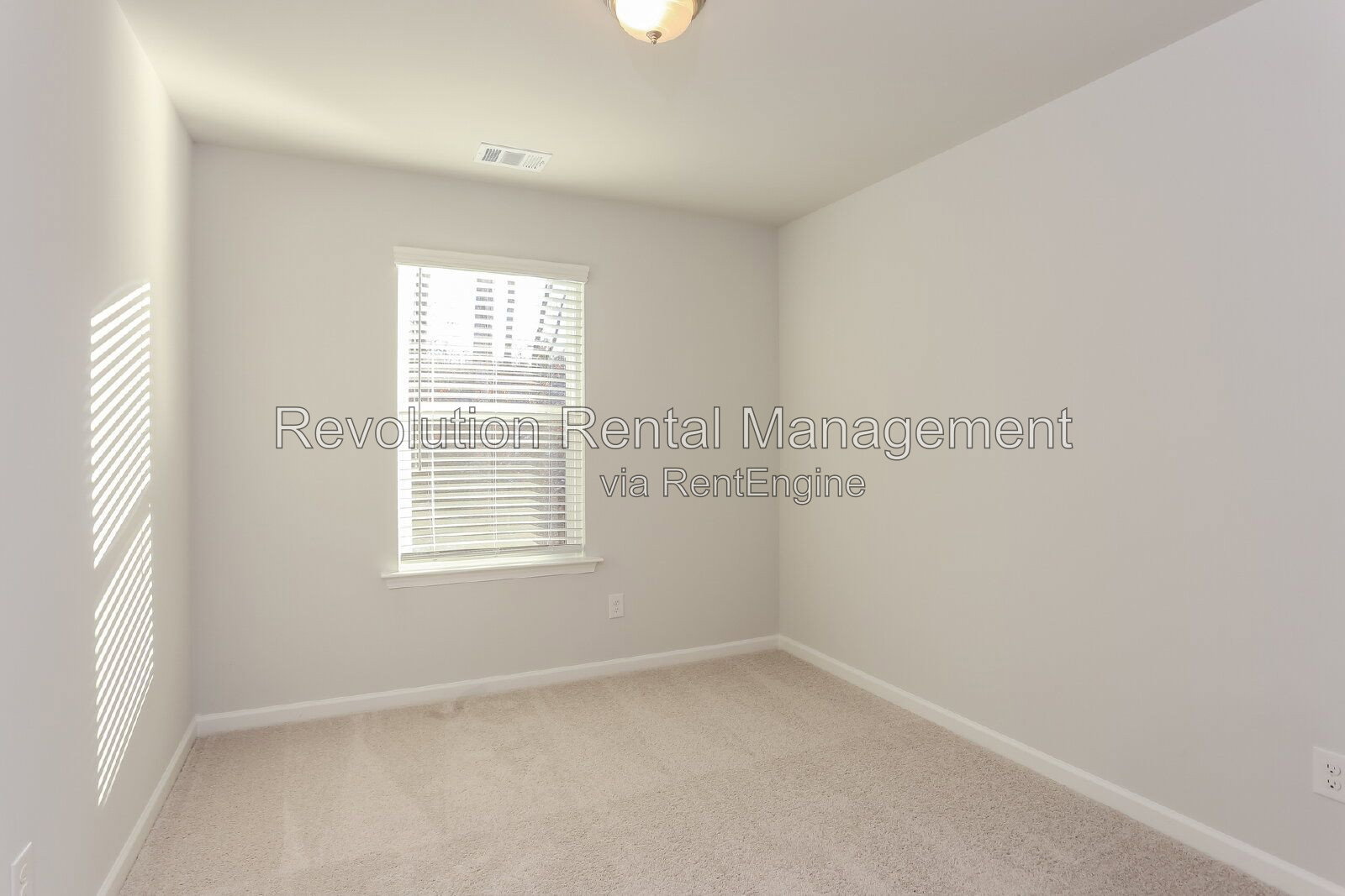 Gallery Image 31