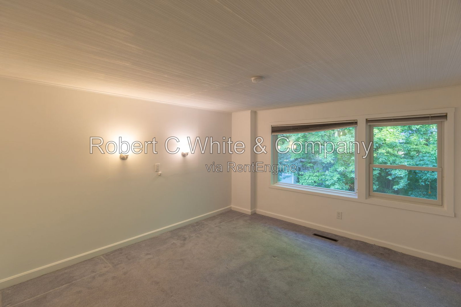 Gallery Image 21