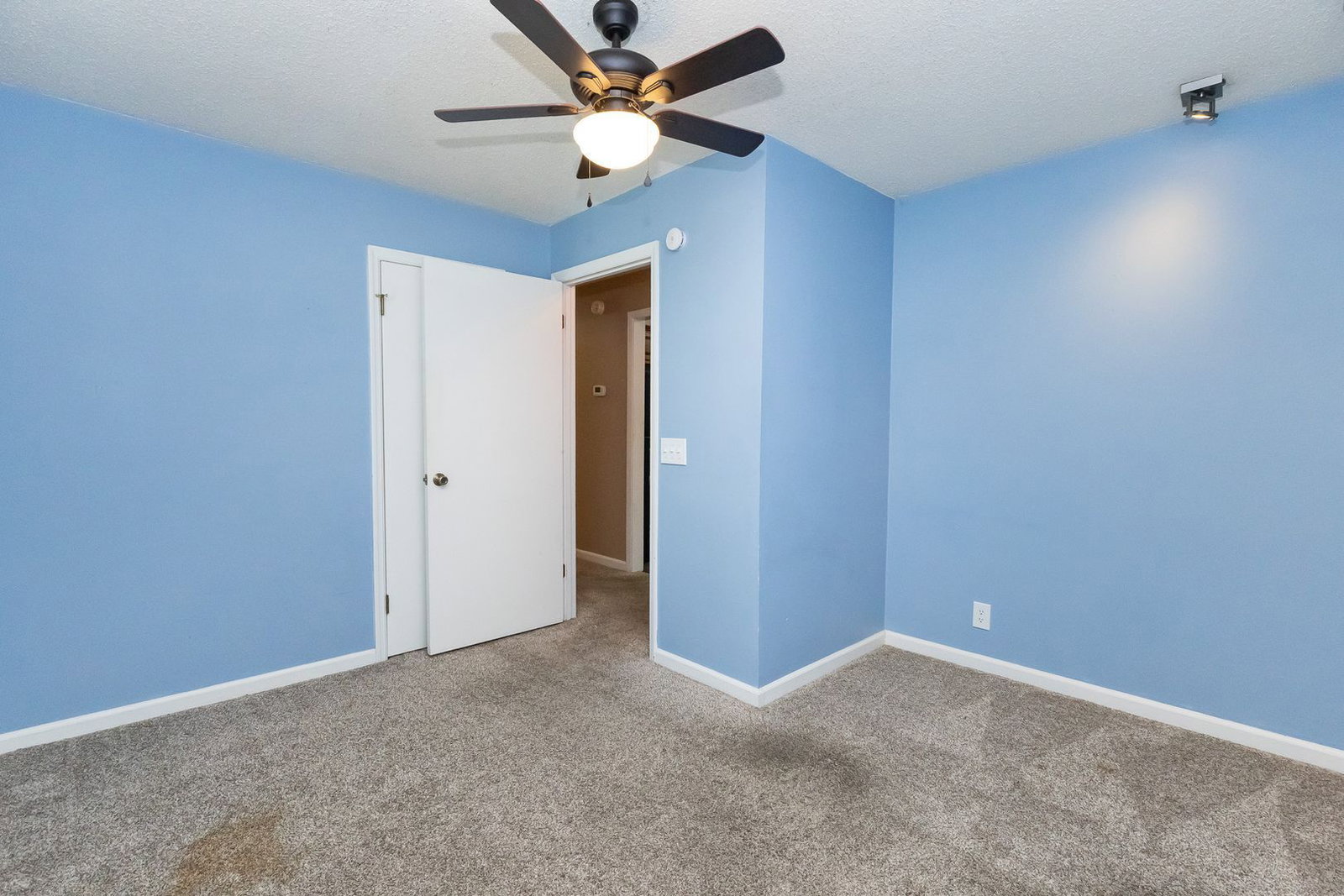 Gallery Image 20