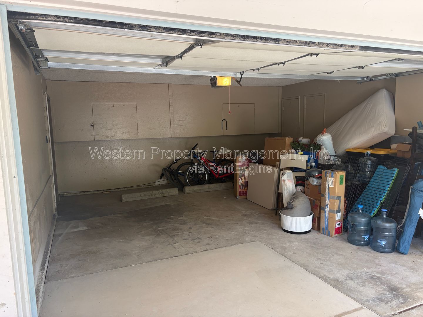 Gallery Image 14
